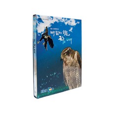 風靈蒼鷹, 1CD