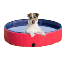 Devence 狗浴缸 60 x 20cm, 紅色的, 1個