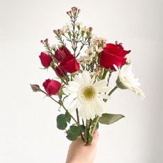 프레시가든 레드무드 생화 꽃다발, 혼합색상