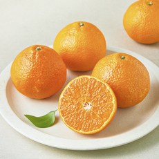 제이드가든 미래향, 1개, 1kg