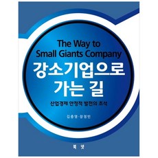 강소기업으로 가는 길:산업경제 안정적 발전의 초석, 북넷, 김종영, 장정빈