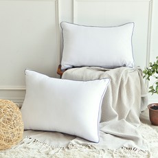 LE REVE 滾邊立體蓬鬆枕芯, 2個, 白色
