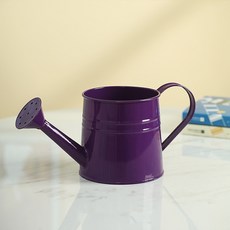 그래다다 컬러풀 꽃 물조리개, 퍼플, 1개