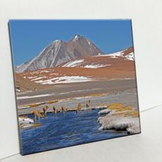 HTP 大自然瓷磚 C304