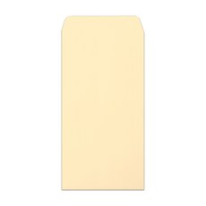 2Youngdesign 彩色直式現金信封 100入, 象牙白, 1件