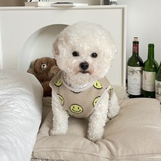 BYDAMSOOMI 小狗黃色微笑背心, 淺褐色的