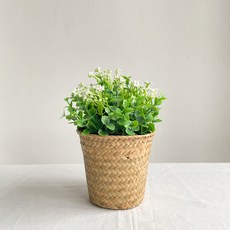 프레시가든 조화 별꽃, 화이트, 1개