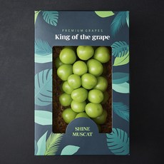 프레시탐탐 GAP 인증 당도선별 샤인머스캣 선물세트, 900g, 1세트