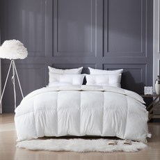 GOOSE&HOME 換季用超細纖維莫代爾波蘭鵝絨被芯 550g PG80, 白色