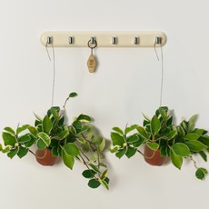 농업회사법인 주식회사 코코도르팜 행잉플랜트 소형 호야, 그린, 2개