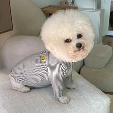 bydamsoomi 狗狗條紋微笑T恤, 黑色