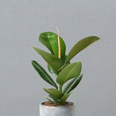 홈앤데코 물만있으면 시공이 가능한 셀프용 인테리어 벽지, 딥그레이(49598-04)