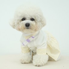 RARE MINX Red Puppy 早春梅花韓服, 黃色