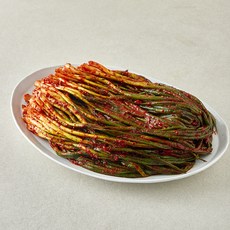 선도농협선장김치 농협아산맑은 파김치, 3kg, 1개