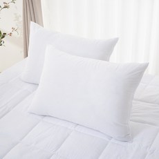 monshare Pure 拉鍊款枕芯, 白色, 2個