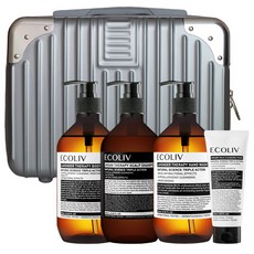 ecoliv 硬殼收納盒 銀色+摩洛哥頭皮護理洗髮精 500ml+薰衣草沐浴乳 500ml+薰衣草洗手乳 500ml+泡沫洗面乳 120ml, 1套