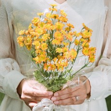 MORIANN 洋甘菊造型人造花 5入, 奶油橙