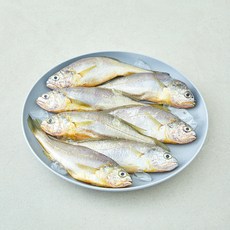 산지직송 일품 법성포 선별참조기 (냉장), 1개, 490g(중, 7미)