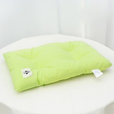 데이소이 고양이 파스텔 색감 쿠션, 06그린, 1개