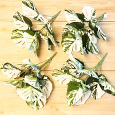 人造花 室內裝飾 葉子 人造植物 裝飾 30cm, 白斑龜背芋, 4個