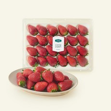 온브릭스 주식회사 농업회사법인 프리미엄 금실딸기, 1개, 750g