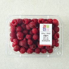 국내산 과일진심 산딸기, 1개, 250g