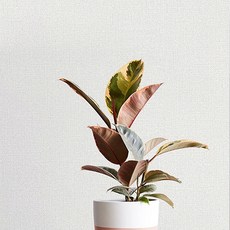 홈앤데코 물만있으면 시공이 가능한 셀프용 인테리어 벽지, 라이트그레이(49598-02)