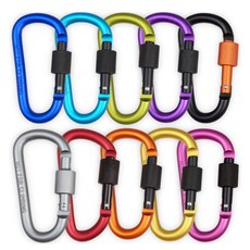 Cam Lewis 鋁合金登山扣 10入組 (顏色隨機出貨), 10個, 隨機發貨