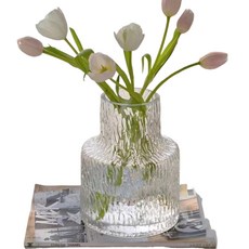 Ebiz 大型玻璃花瓶 室內裝飾品, 透明