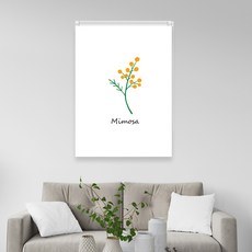 끌래망스 실사 롤스크린 암막