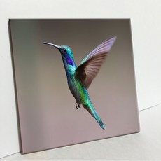 UDP 磁磚畫框 A型 2139279, 白色素面磁磚底