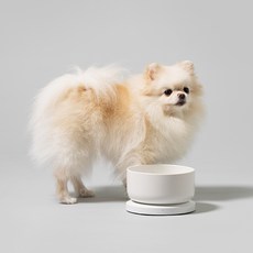 巴萊寵物 寵物智能飲水碗 Welly 餐具, 白色, 1個