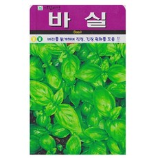 아람종묘 허브 바실 씨앗 50p, 바실50립(아람)