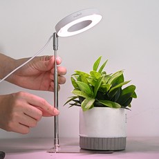 앙플랜트 생장촉진 LED 식물등 3가지 모드 타이머, 화이트