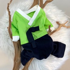 Caniche 狗狗棉質日常韓服連身衣 男款, 淺綠色