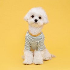 Flot 室內側邊按扣狗狗T恤, 綠色條紋