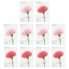 Appree Sticky Leaf 基本款便利貼 康乃馨 S 2款 x 5入, 粉紅色, 紅色, 1套