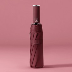 피어니스트 컬러풀 자동우산