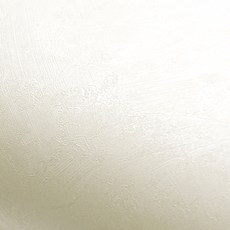 ROSEROSA 室內裝潢彩繪石紋素色水泥壁貼 PTG110, 單一顏色, 厚度 0.24mm x 寬度 61cm x 長度 500cm