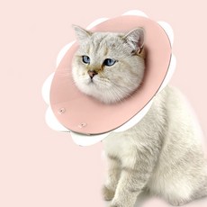 PASTEL PET 寵物花朵雙面頸圈, 粉紅色, 1個