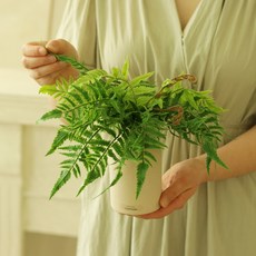 센트바스켓 조화 트로피칼 그린 식물 + 샌드화병 세트, 루모라, 1세트