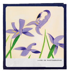 Star Flower 藝術相簿 32.5 x 33.5 cm, 20張, type 09(相簿), 白色(內頁)