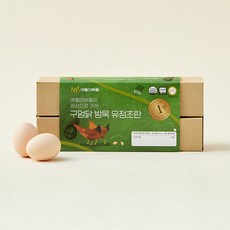 애월아빠들 무항생제 인증 구엄닭 방목 유정초란 320g, 1개, 10구