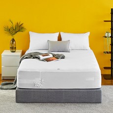 프로텍트어베드 알러집 6면 방수 매트리스 커버 지퍼형 레귤러 25T