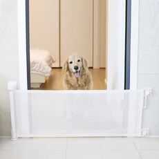 21世紀潮流空間分隔捲門, 白色, 1個