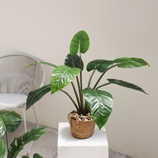쟈뎅드에덴 알로카시아 조화나무 90cm, 1개