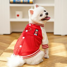 파스텔펫 반려동물 베어 바시티 자켓, 레드, 1개