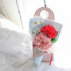 아스파시아 마리에 조화 카네이션 꽃다발 용돈 선물 박스, 레드, 1개