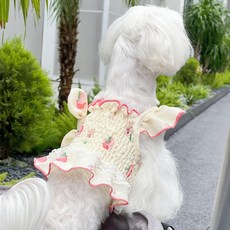 Qilci 狗狗夏季連身裙, 黃色