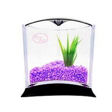 Rora Pet 三角魚缸+人造水草隨機出貨套組, 丁香紫